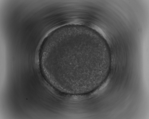 X0000095910923200802081050