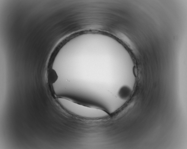 X0000095910924200802081050