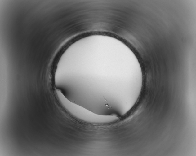 X0000095910926200802081050