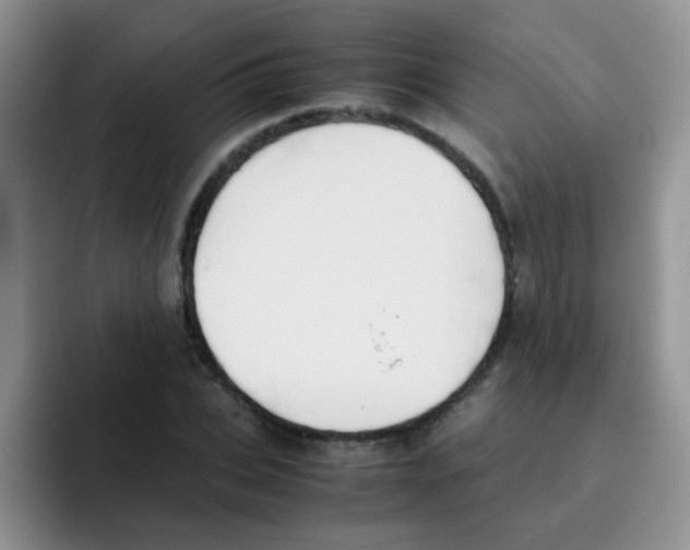 X0000095910927200802081050