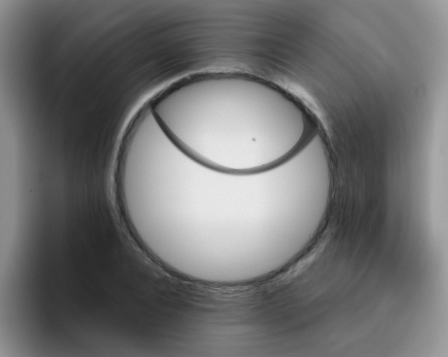 X0000095910928200802081050