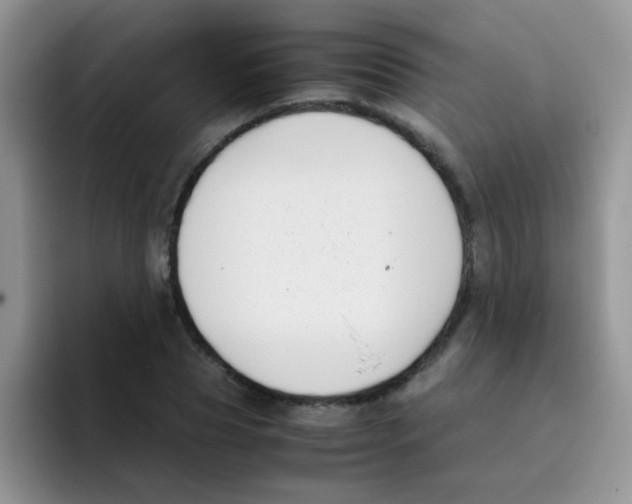 X0000095910929200802081050