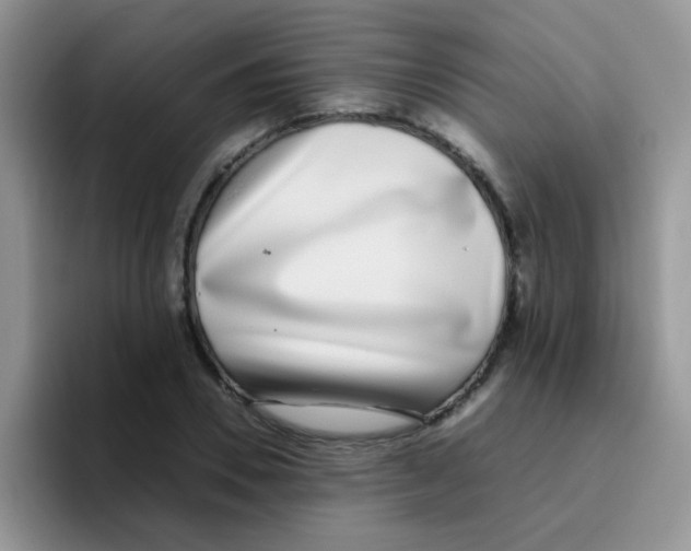 X0000095910930200802081050