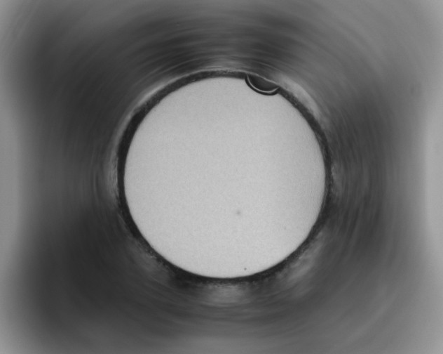 X0000095910931200802081050