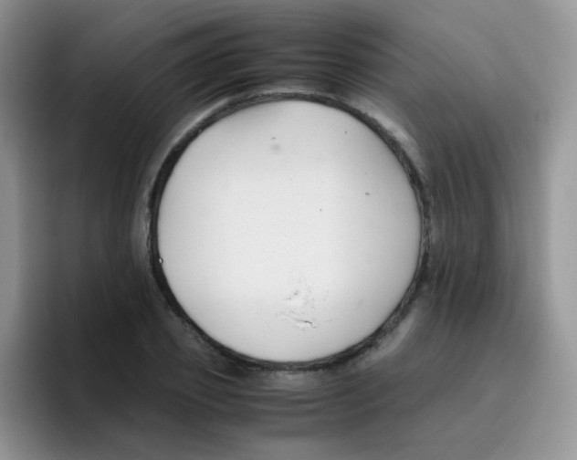 X0000095910933200802081050