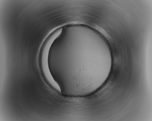 X0000095910934200802081050