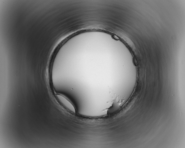 X0000095910936200802081050