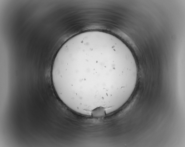 X0000095910937200802081050