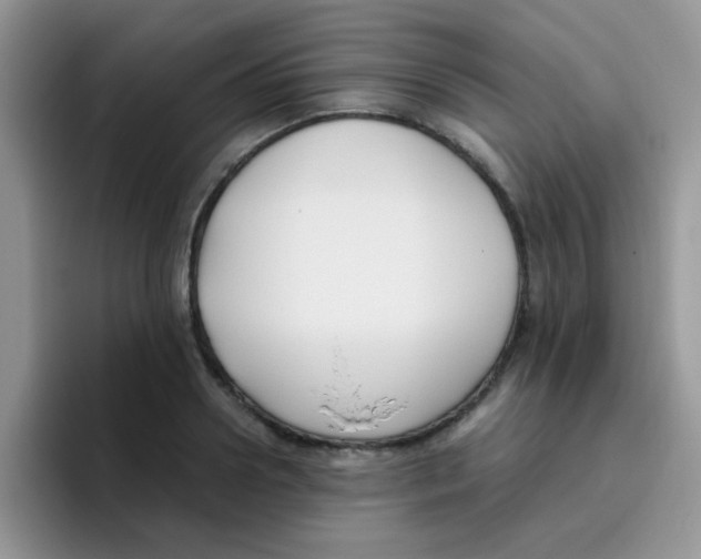 X0000095910938200802081050