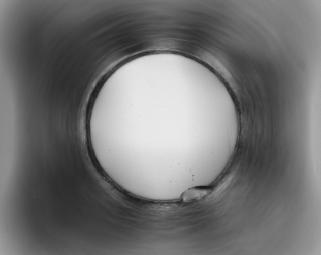 X0000095910939200802081050