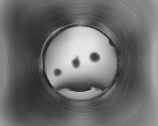 X0000095910940200802081050