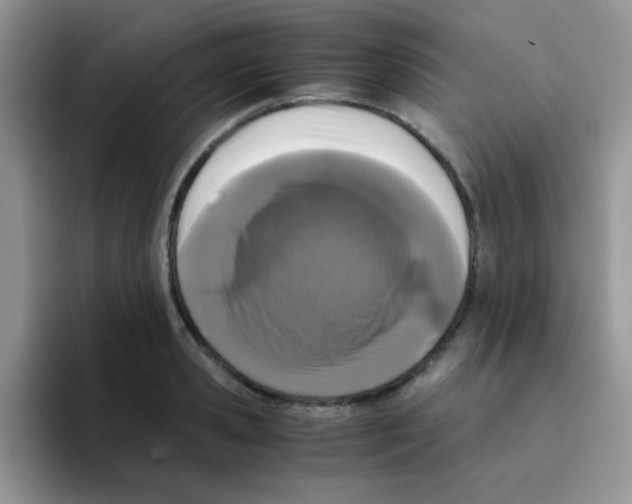 X0000095910941200802081050