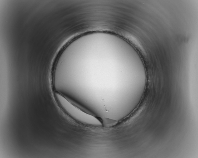 X0000095910942200802081050