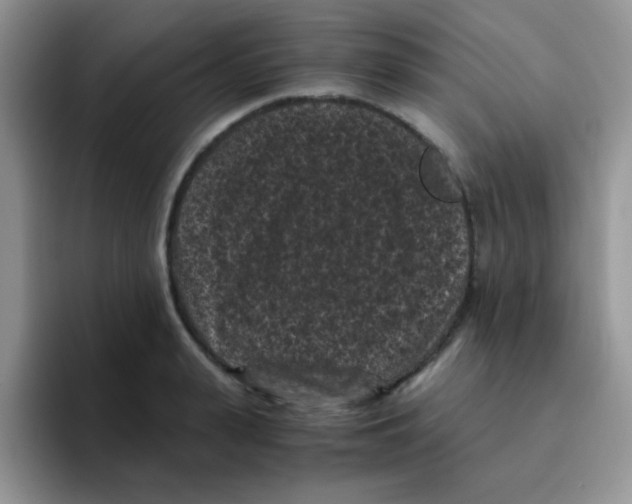 X0000095910943200802081050