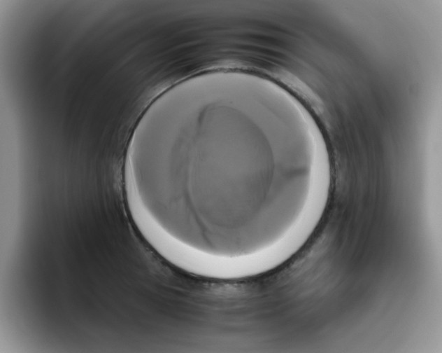 X0000095910945200802081050