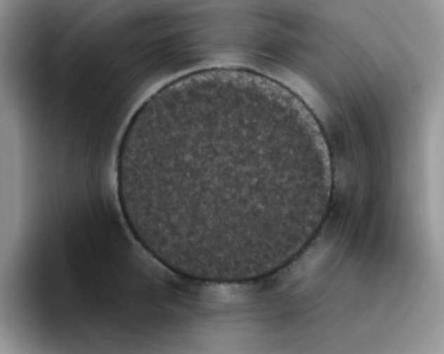 X0000095910950200802081050