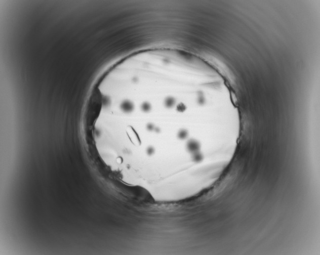 X0000095910952200802081050