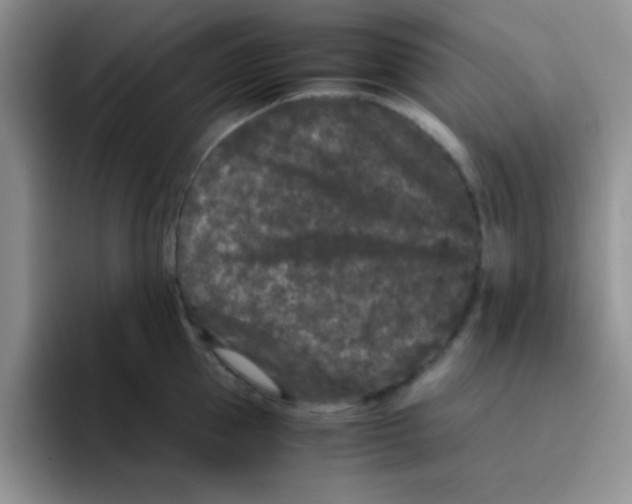 X0000095910953200802081050