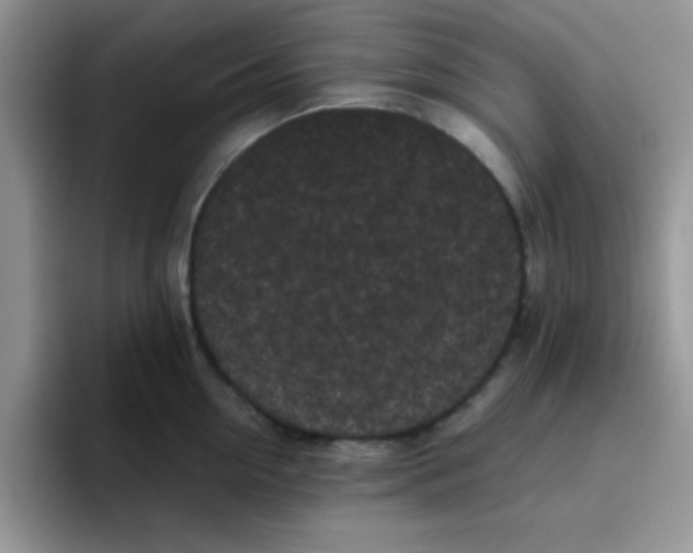 X0000095910954200802081050