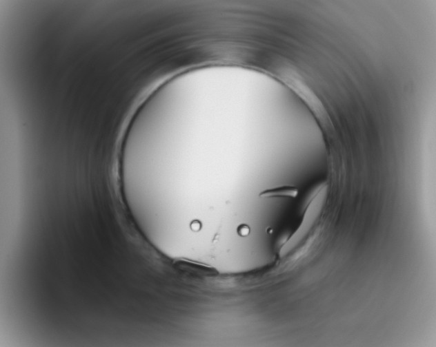 X0000095910956200802081050