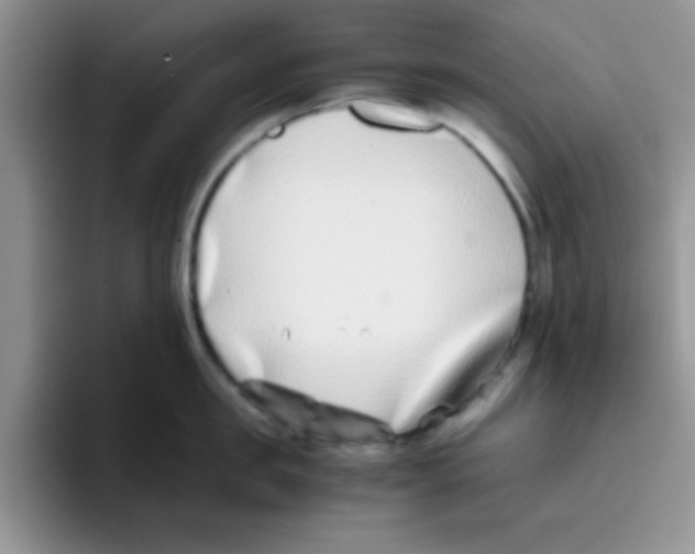 X0000095910957200802081050