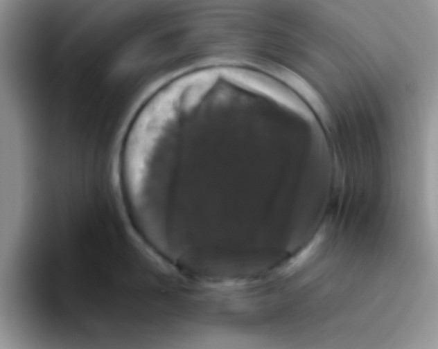 X0000095910958200802081050