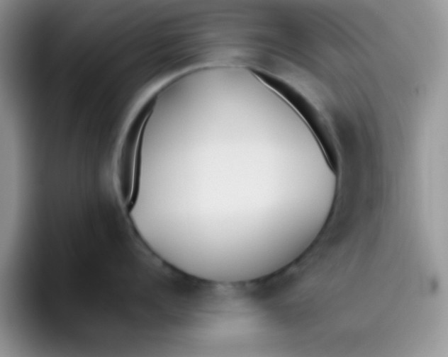 X0000095910960200802081050