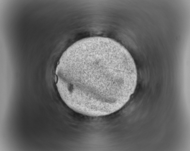 X0000095910961200802081050