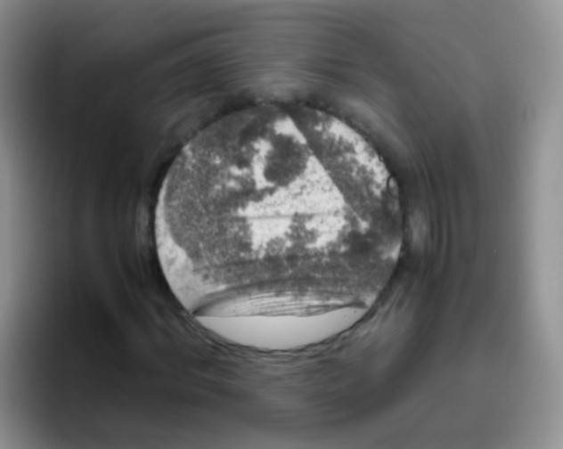 X0000095910964200802081050