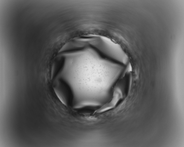 X0000095910965200802081050