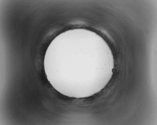 X0000095910967200802081049