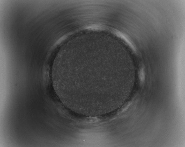 X0000095910968200802081049