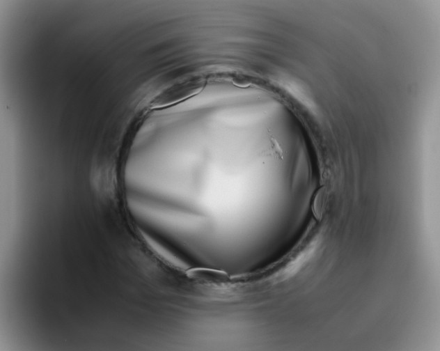 X0000095910969200802081049