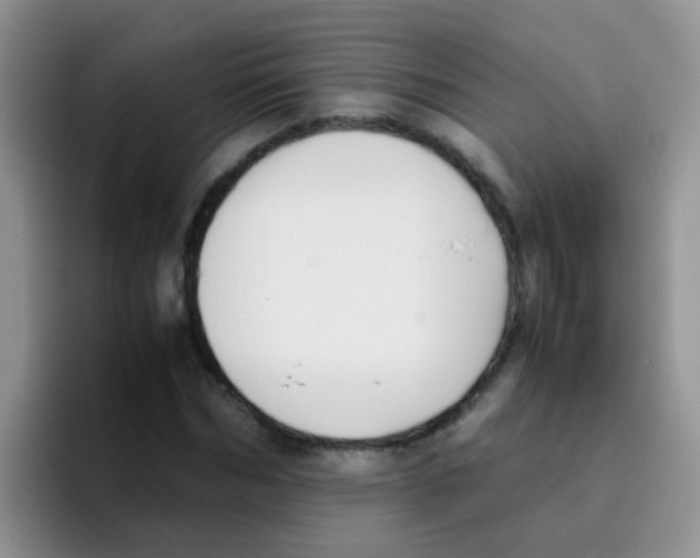 X0000095910970200802081049