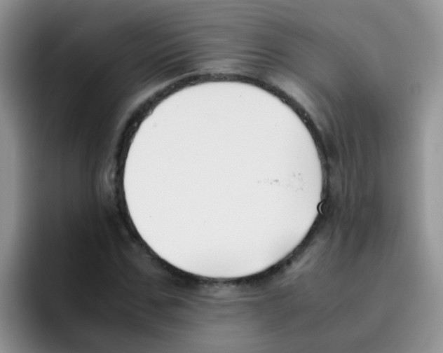 X0000095910971200802081049