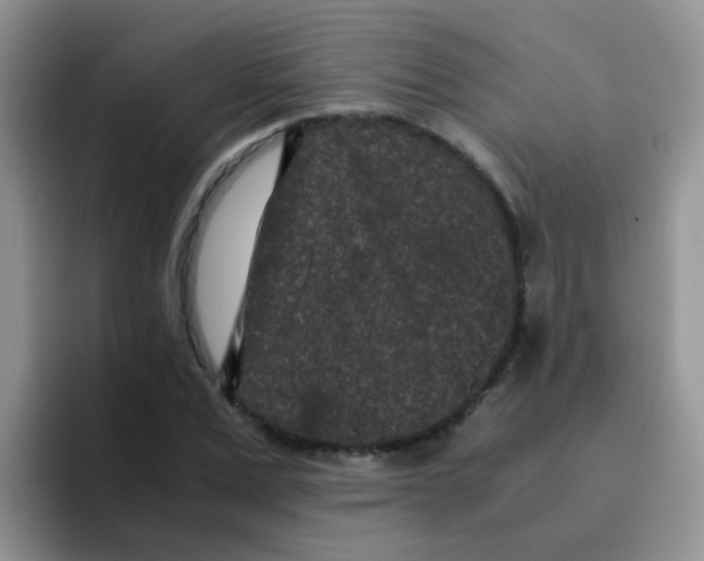 X0000095910975200802081049