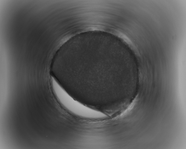 X0000095910977200802081049