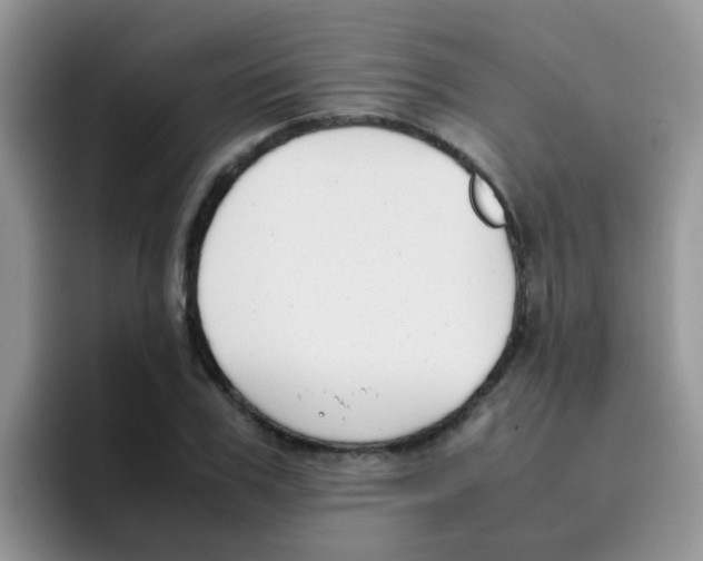 X0000095910979200802081049