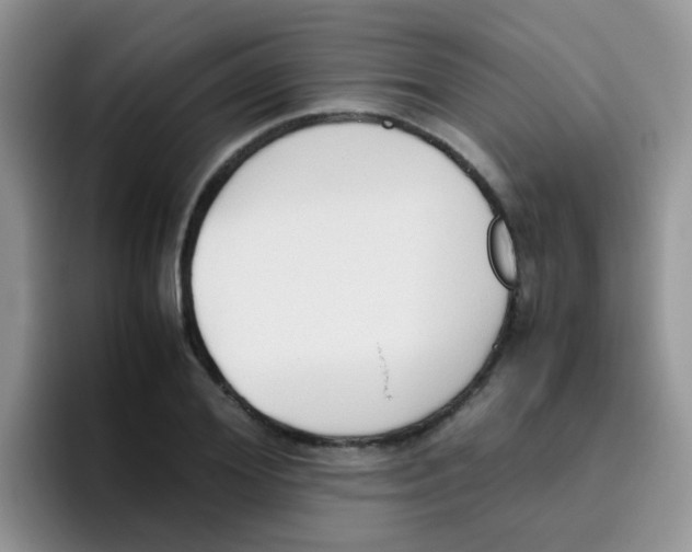 X0000095910980200802081049