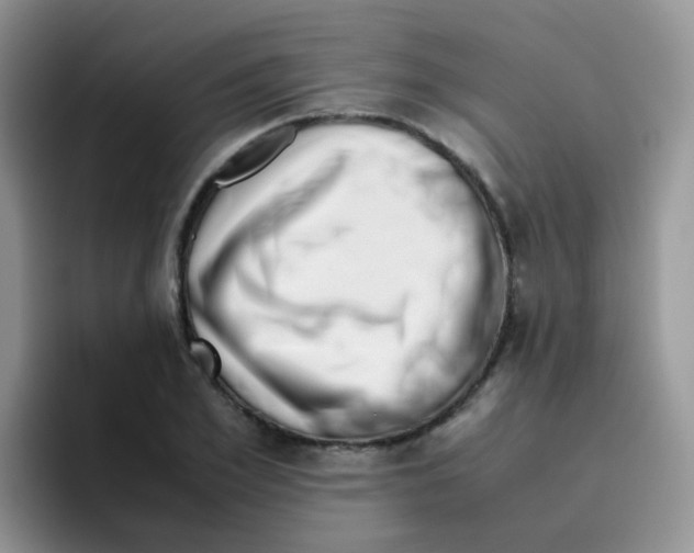 X0000095910981200802081049