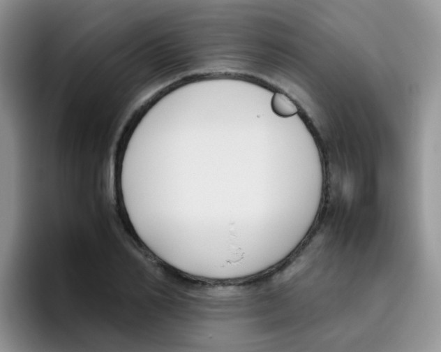 X0000095910982200802081049