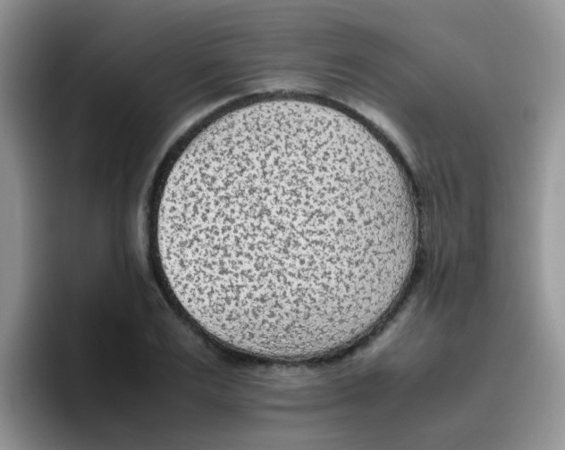 X0000095910983200802081049