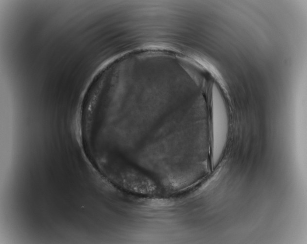 X0000095910984200802081049