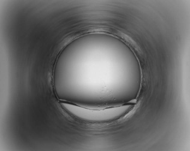 X0000095910985200802081049