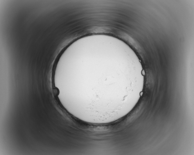 X0000095910986200802081049