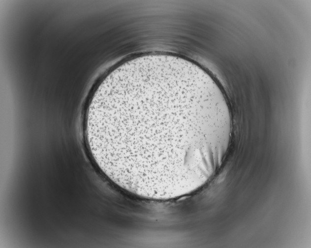 X0000095910987200802081049