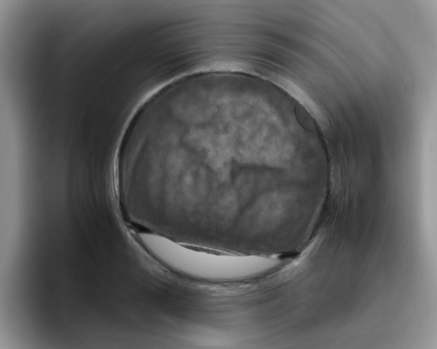 X0000095910988200802081049