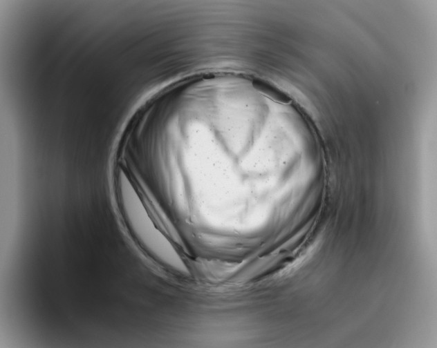 X0000095910989200802081049