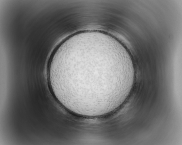 X0000095910990200802081049