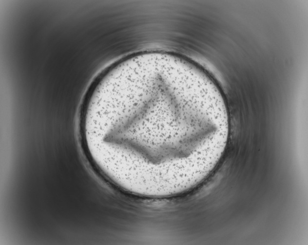 X0000095910991200802081049